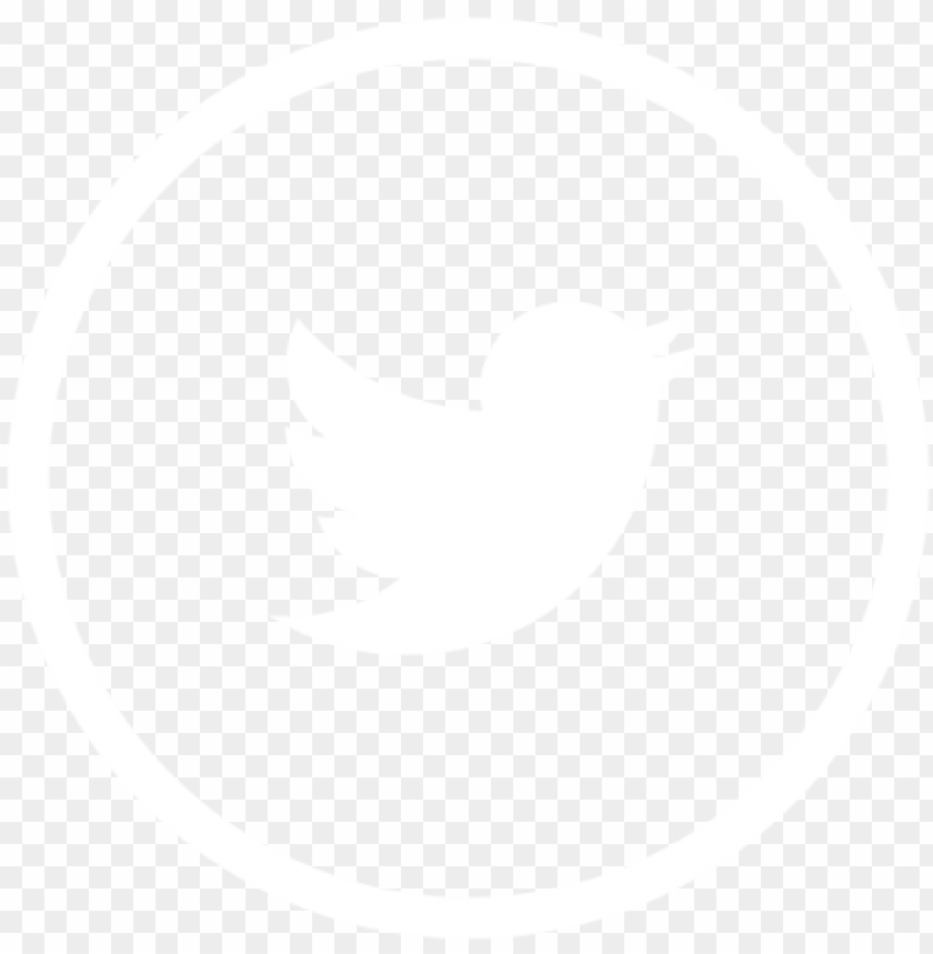 twitter-white-icon-social-media-icon-png-and-vector-twitter-app-icon-2017-11562896092tvpb2fle0q